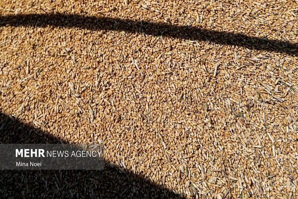 پهلوگیری شناور حامل کالای اساسی در بندر شهید رجایی