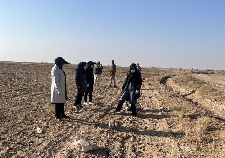 اجرای نخستین طرح انتخاب مشارکتی ارقام گندم در شهرستان سمنان