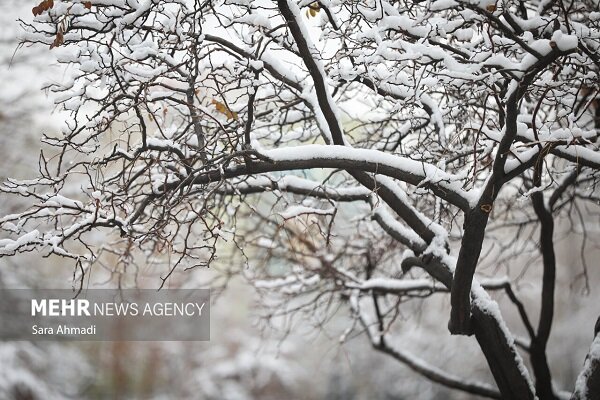 تهران در آستانه موج سرما با بارش برف و باران