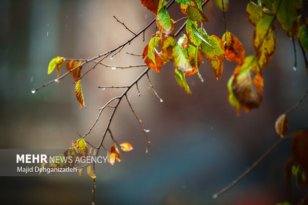 فعالیت سامانه بارشی زودگذر در آسمان لرستان