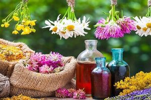 اقتصاد روستایی در ایلام؛ از تولید و اشتغال تا انتظار برای حذف دلالان
