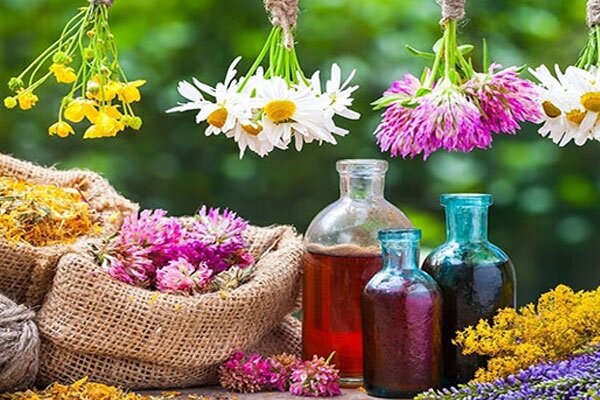اقتصاد روستایی در ایلام با حذف دلالان میتواند موتور پایدار اشتغال شود