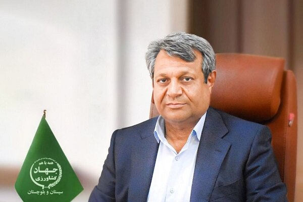 پرداخت ۴۱۸ میلیارد تومانی تسهیلات دامداری برای فعال‌سازی واحدهای پرواربندی سیستان و بلوچستان