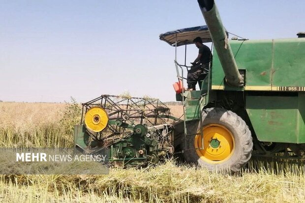 ۴۰۰ میلیارد تومان سرمایهگذاری و بازسازی زیرساختهای کشاورزی در سال ۱۴۰۴؛ معاون وزیر: ارقام جاری ناکافی است